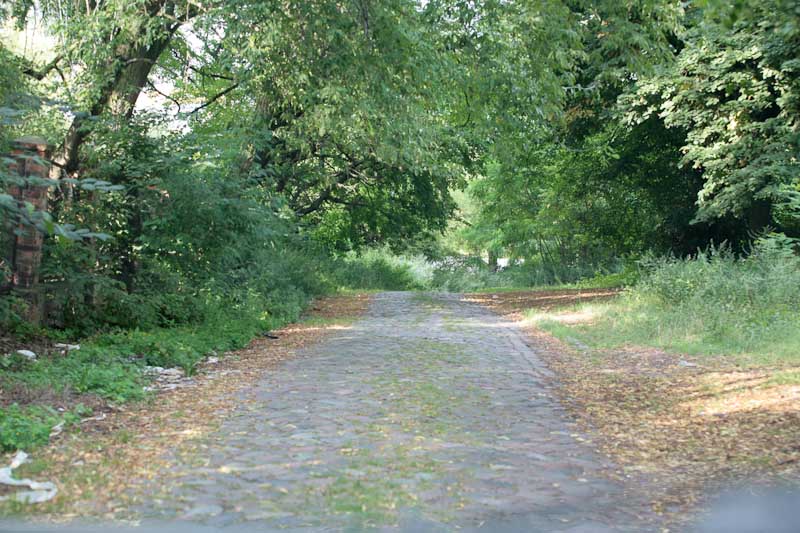 hochzeitsreise-stettin-7012
