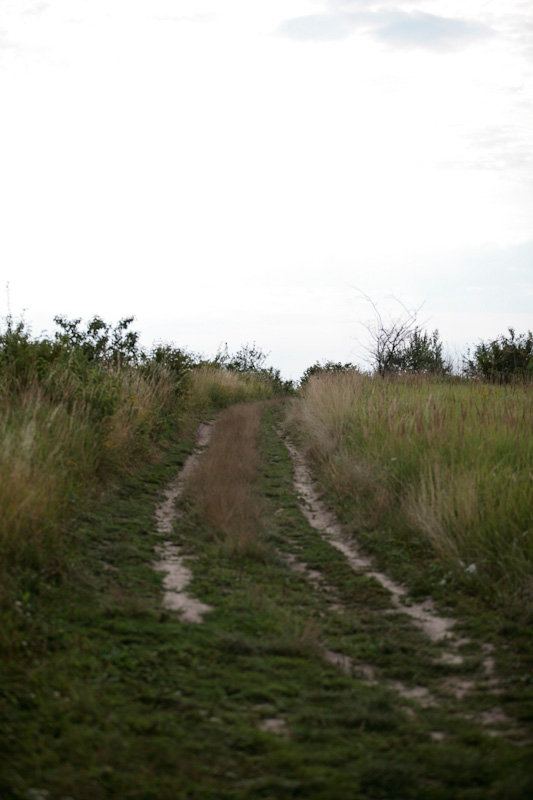 hochzeitsreise-stettin-7054