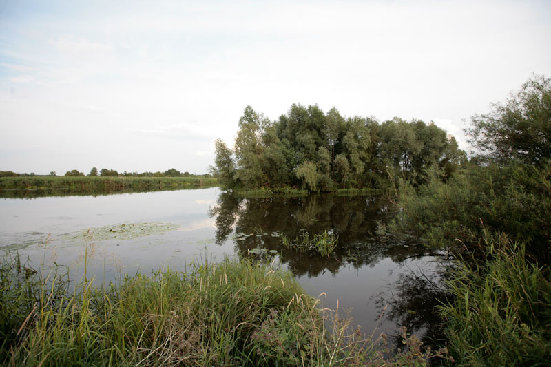 hochzeitsreise-stettin-7086