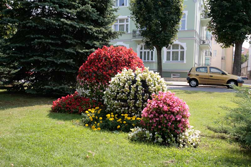 hochzeitsreise-stettin-7246