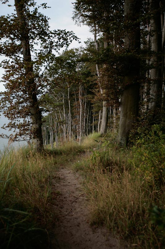 hochzeitsreise-stettin-7383