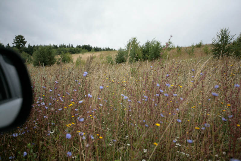 hochzeitsreise-stettin-7671