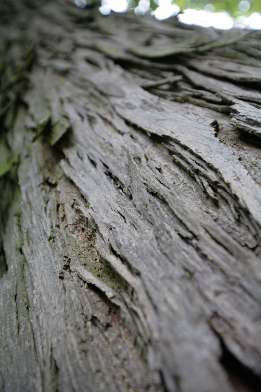 hochzeitsreise-stettin-7685