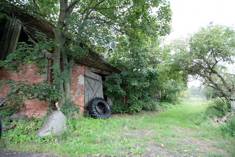 hochzeitsreise-stettin-7740