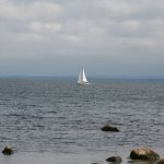 img_1848