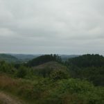 img_1950