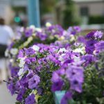 img_2690