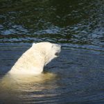 img_3244