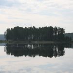 img_3397