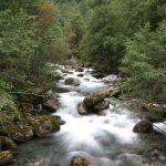 img_4184