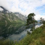 img_4264