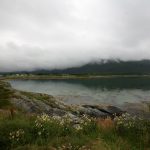 img_4365