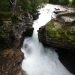 img_4893