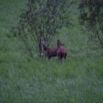 img_5748