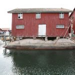img_6176