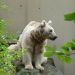 ms_muenster-1010420