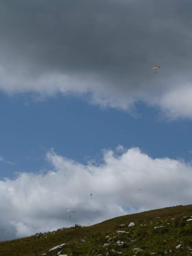 20120717-p1000441