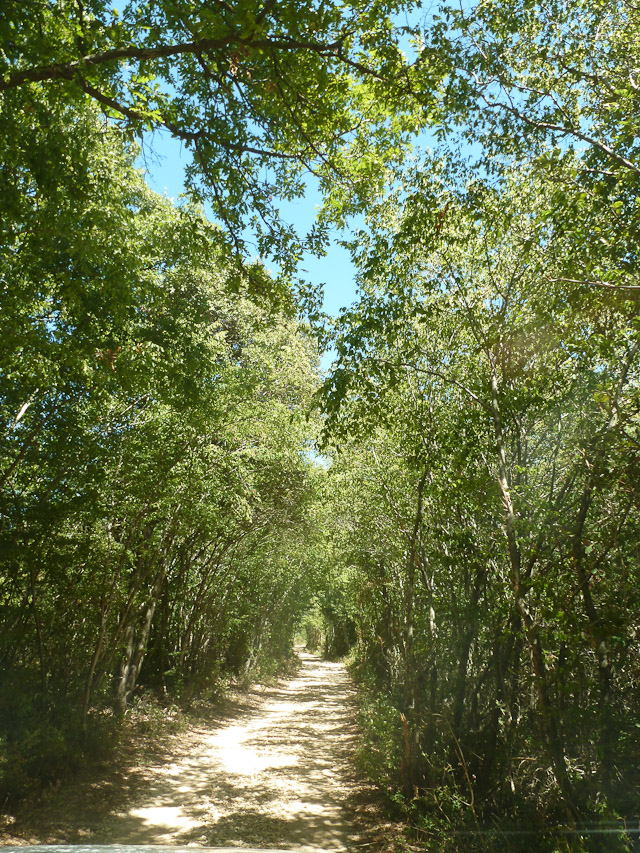 20120718-p1000557
