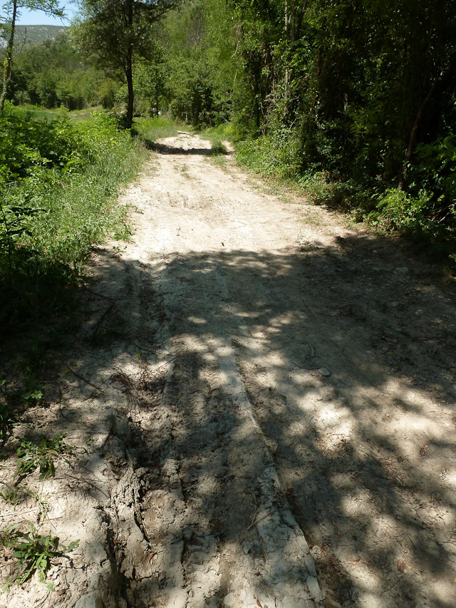 20120719-p1000639