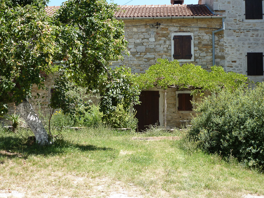 20120719-p1000647