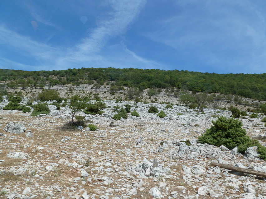 20120720-p1000774