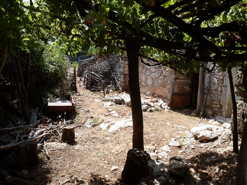 20120720-p1000802