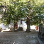 20120720-p1000869