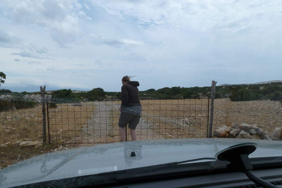 20120722-p1010049