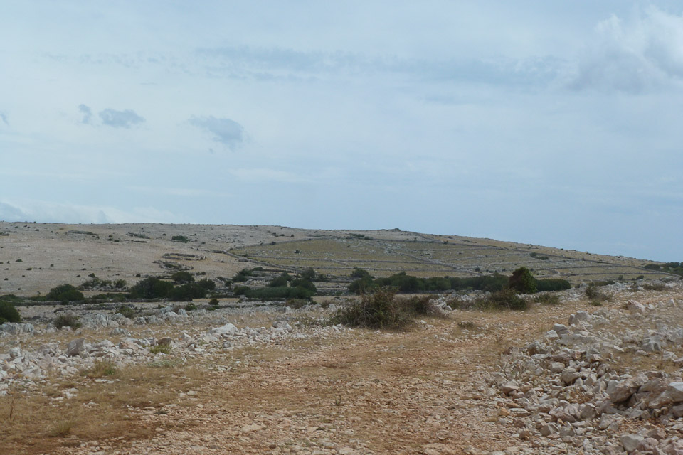 20120722-p1010060