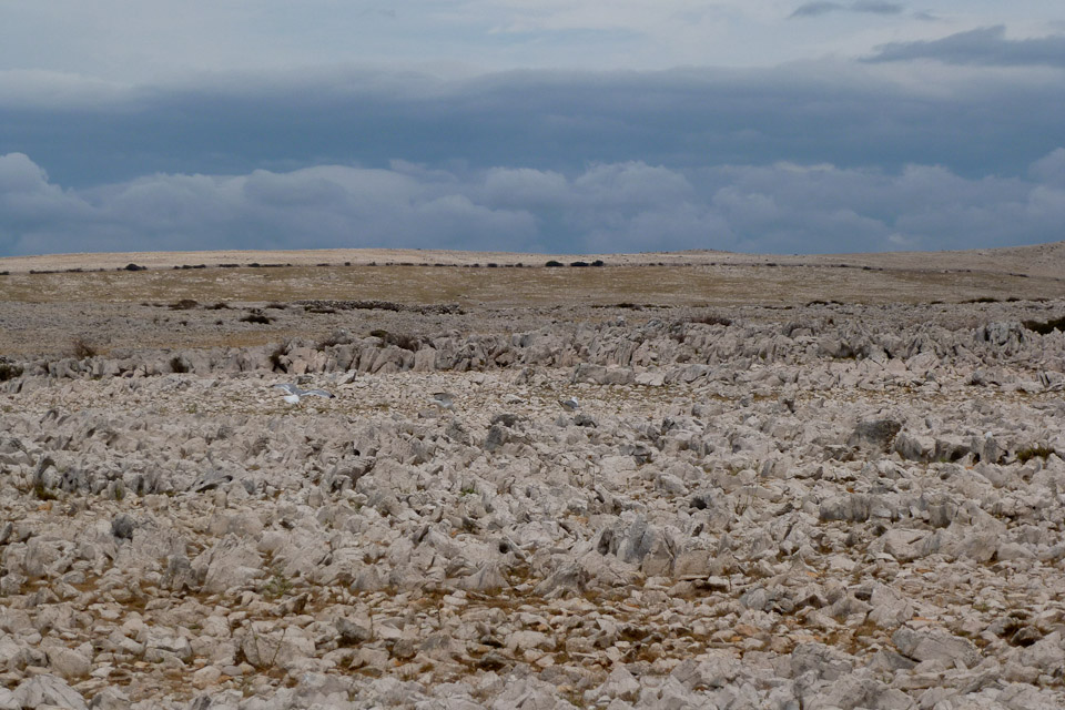 20120722-p1010078