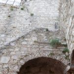 20120723-p1010116