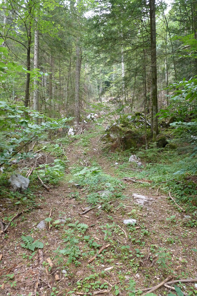 20120724-p1010168