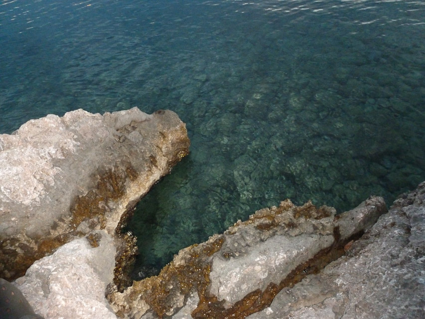 20120725-p1010244
