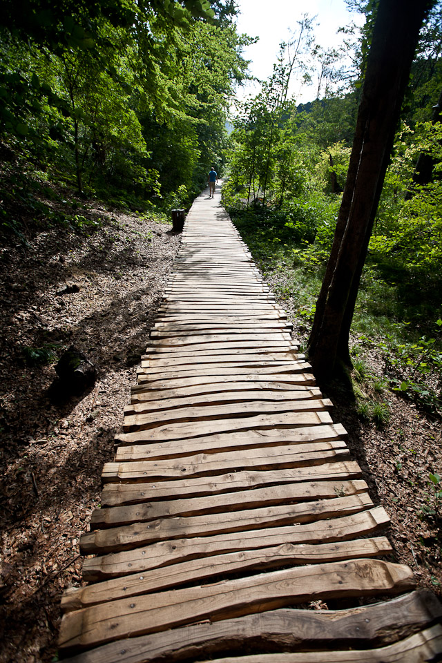 20120726-_mg_2119