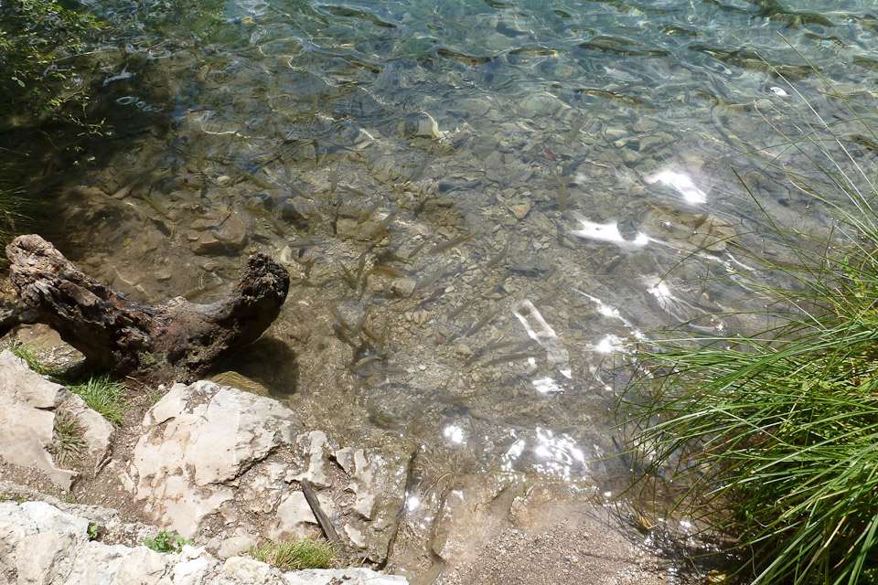 20120726-p1010273