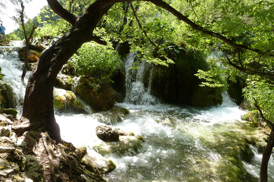 20120726-p1010306
