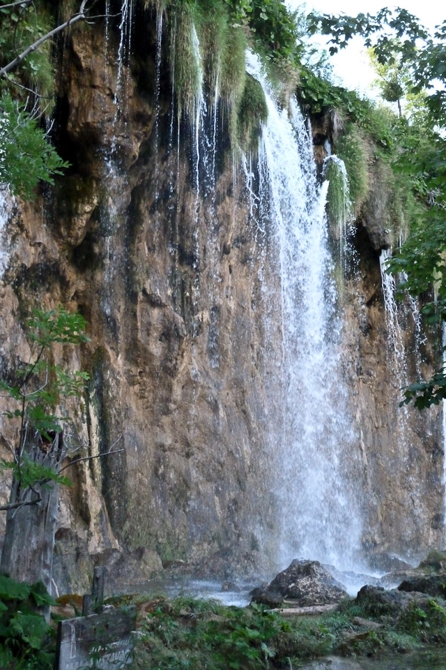 20120726-p1010359