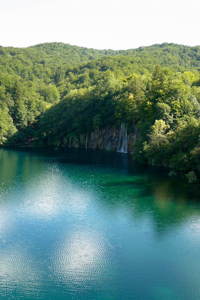 20120726-p1010374