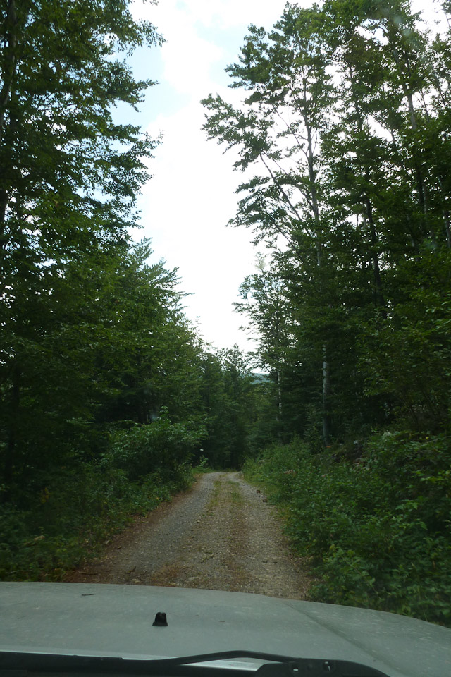20120729-p1010462