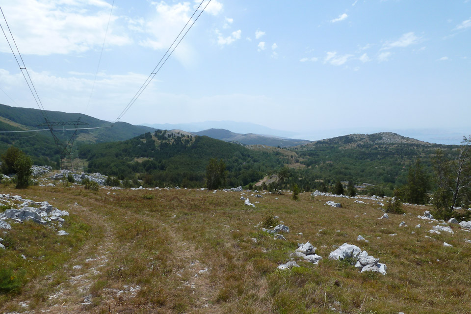 20120729-p1010479
