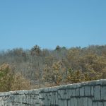 20120730-p1010525