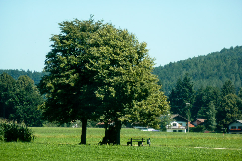 20120801-p1010643